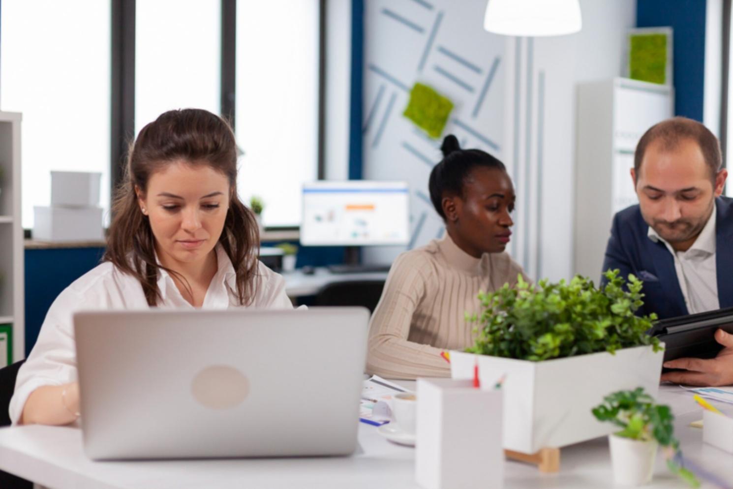 Praktische Finanzanalyse im Franchise-Kontext